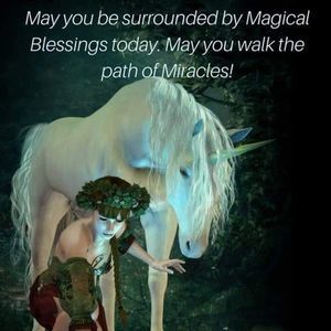 Meet your Posher, Misty